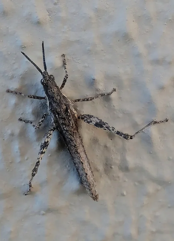 PXL_20251210_122256749~4 (1).webp