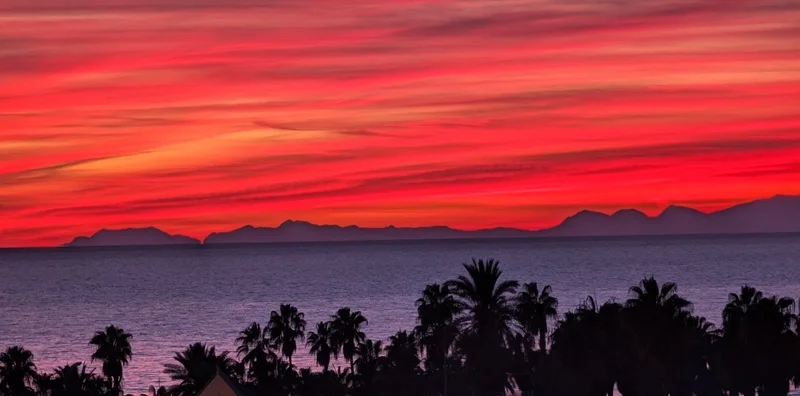 PXL_20251210_145912598 (1).webp