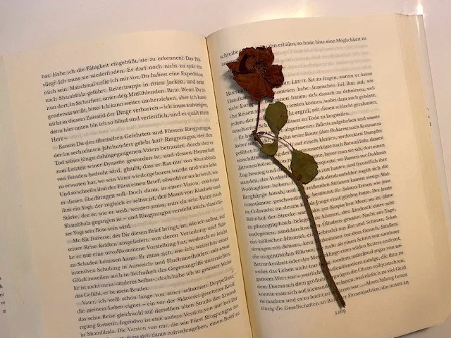 Pynchon.webp
