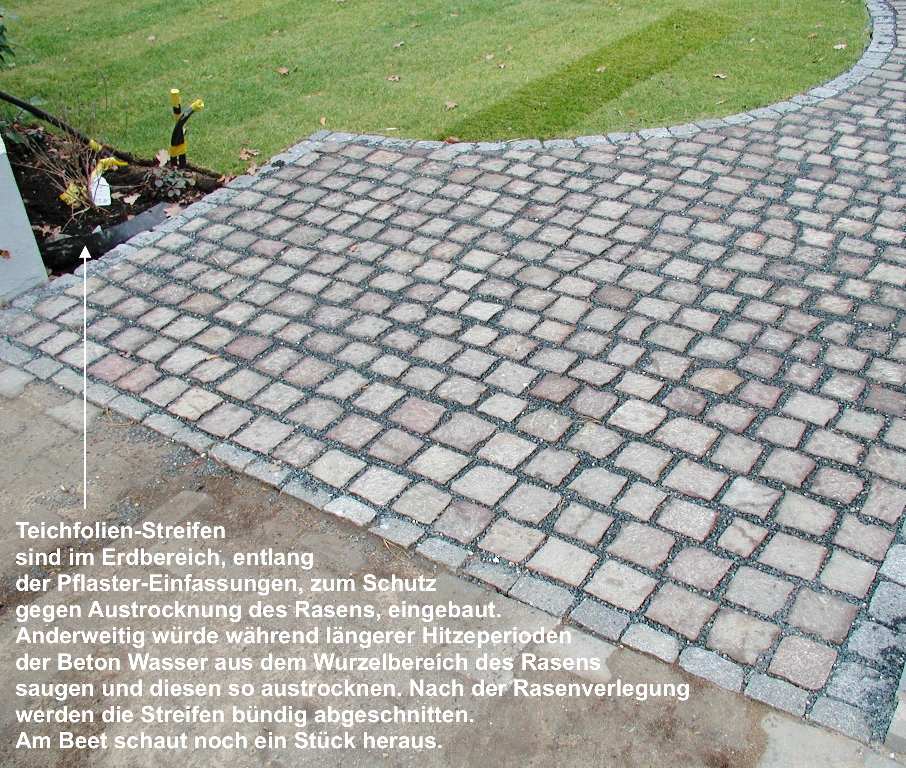 Rasenkanten-Schutz mit Teichfolie.webp