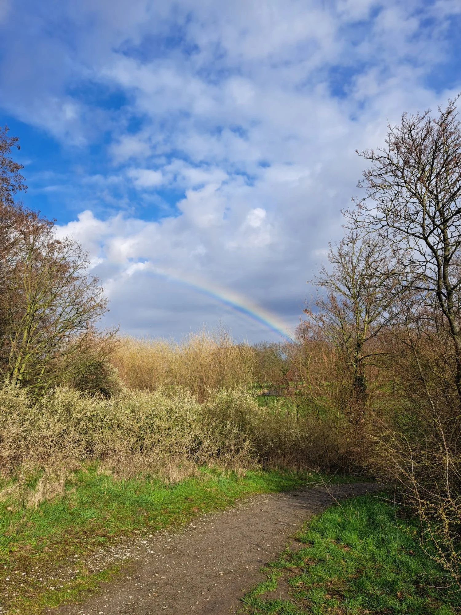 Regenbogen.webp
