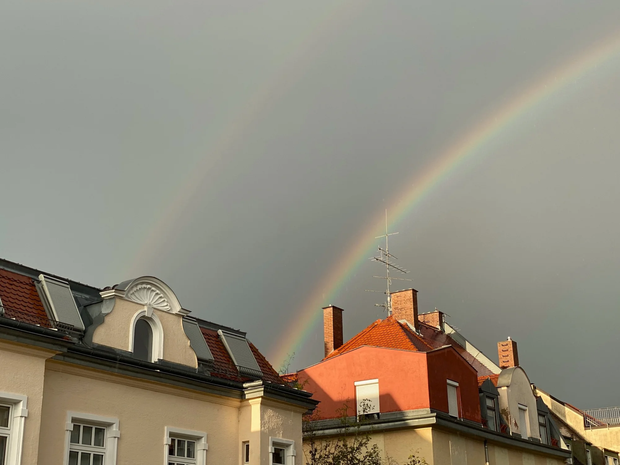 Regenbogen.webp