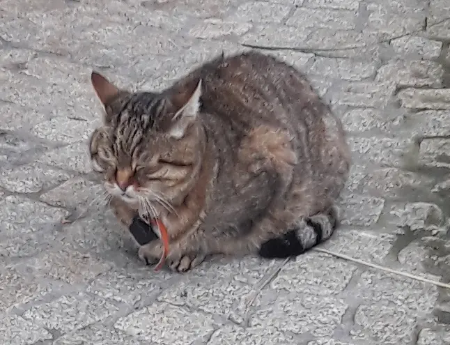 658938