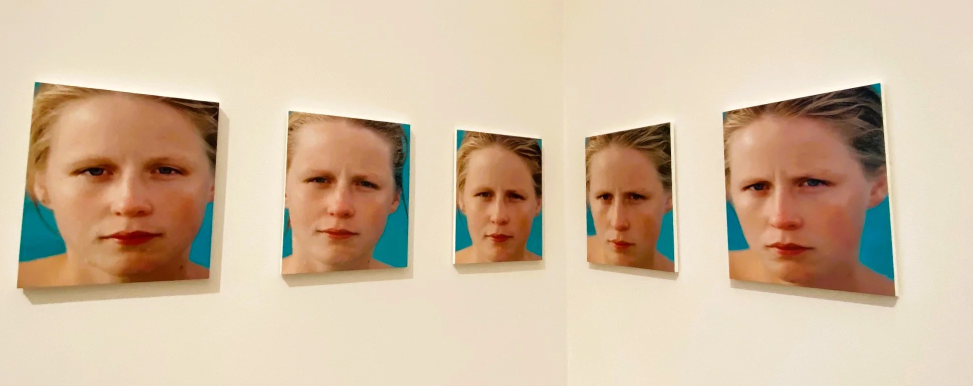 Roni Horn3.webp