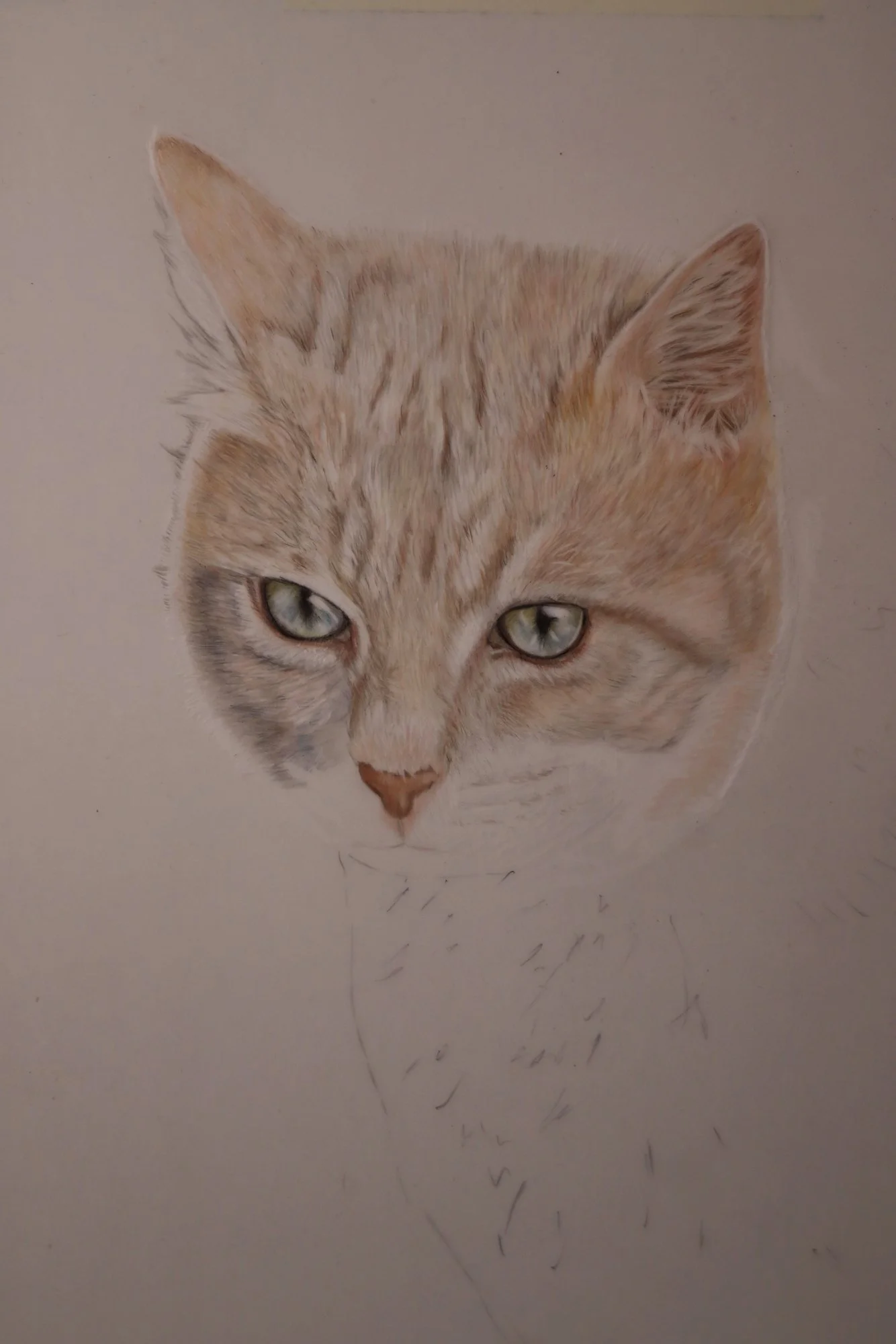 Rudi03.webp