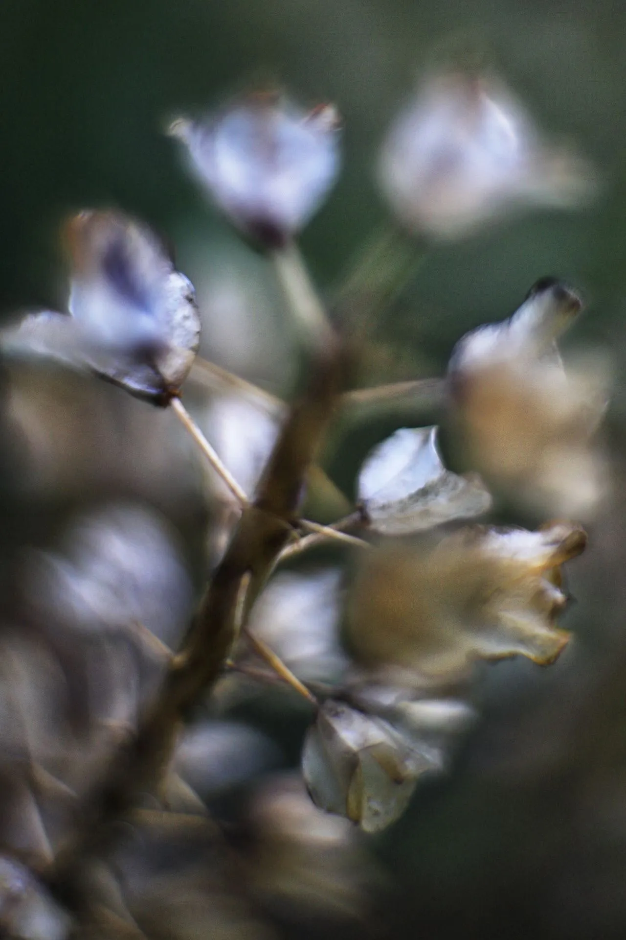 Samenstand02.webp