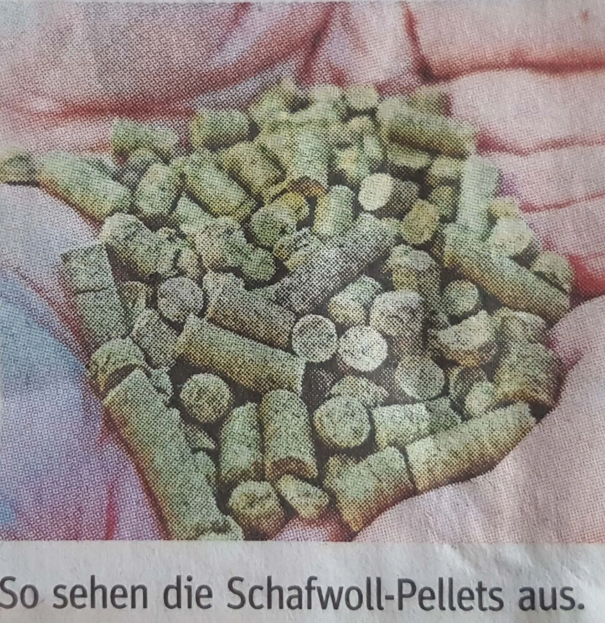 Schafwollpellets_1.webp