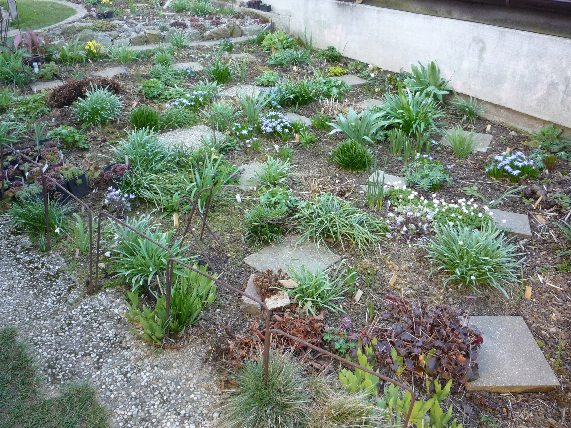 Schattenbeet_05.04.2020.webp