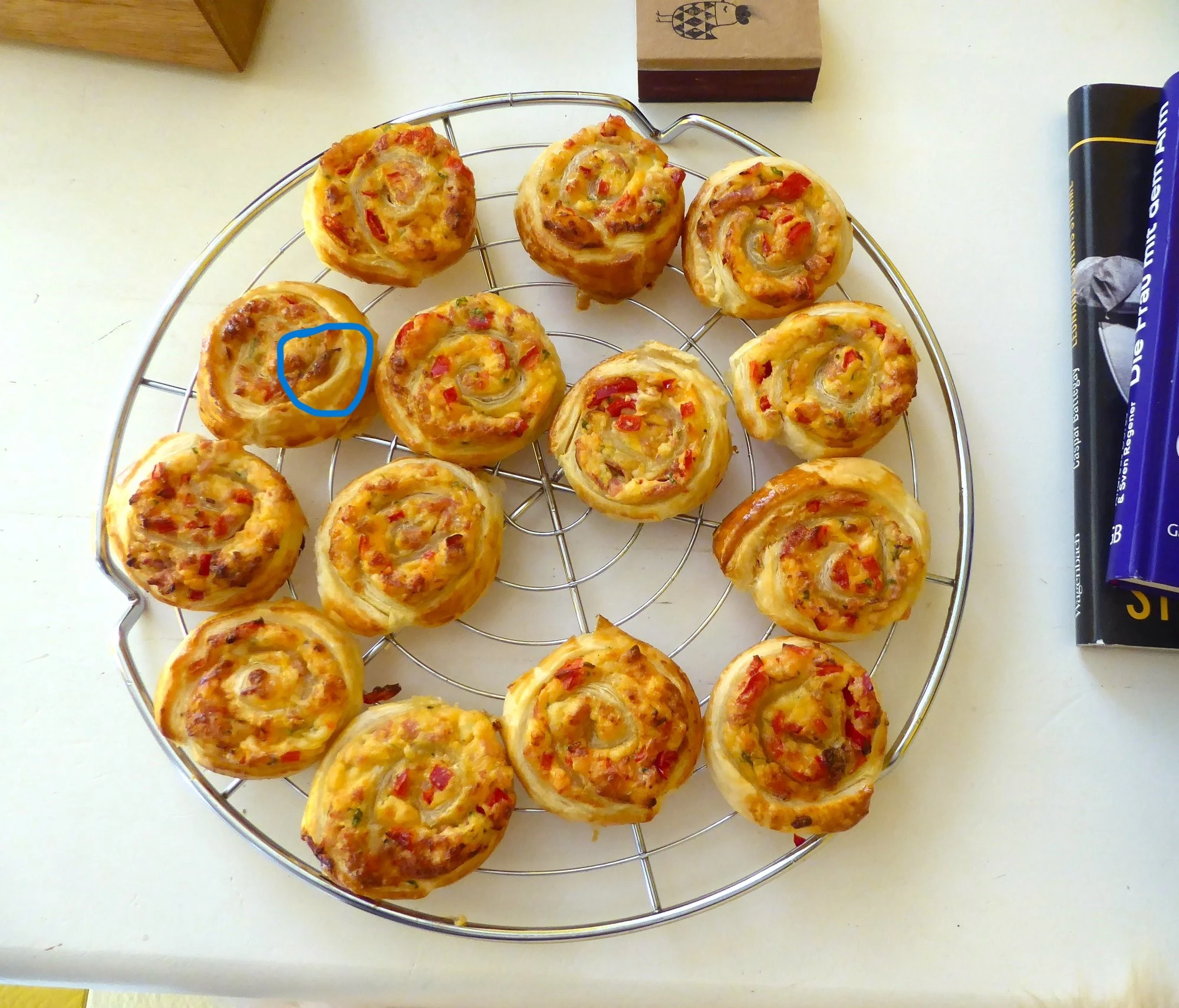 Schnecken.webp