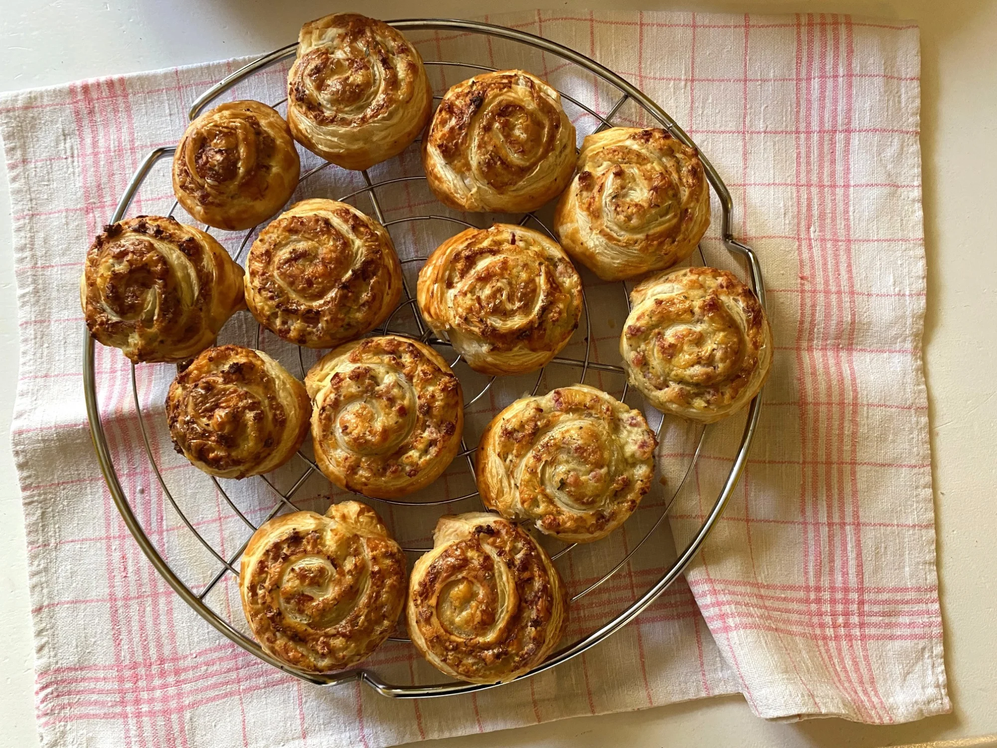 Schnecken.webp