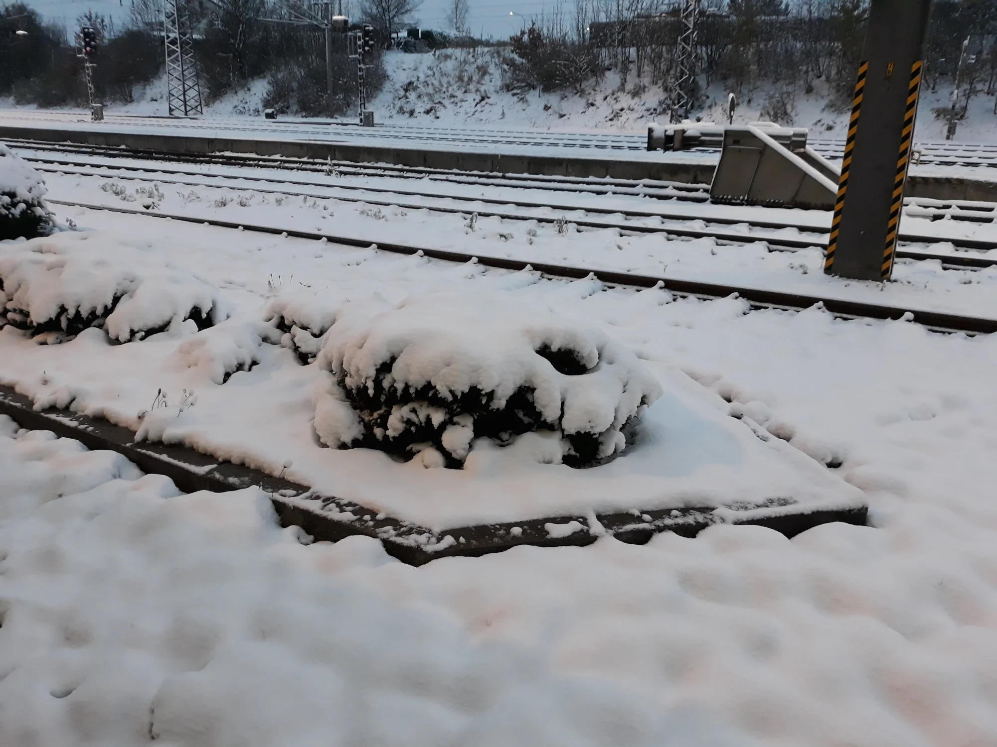 schnee2.webp