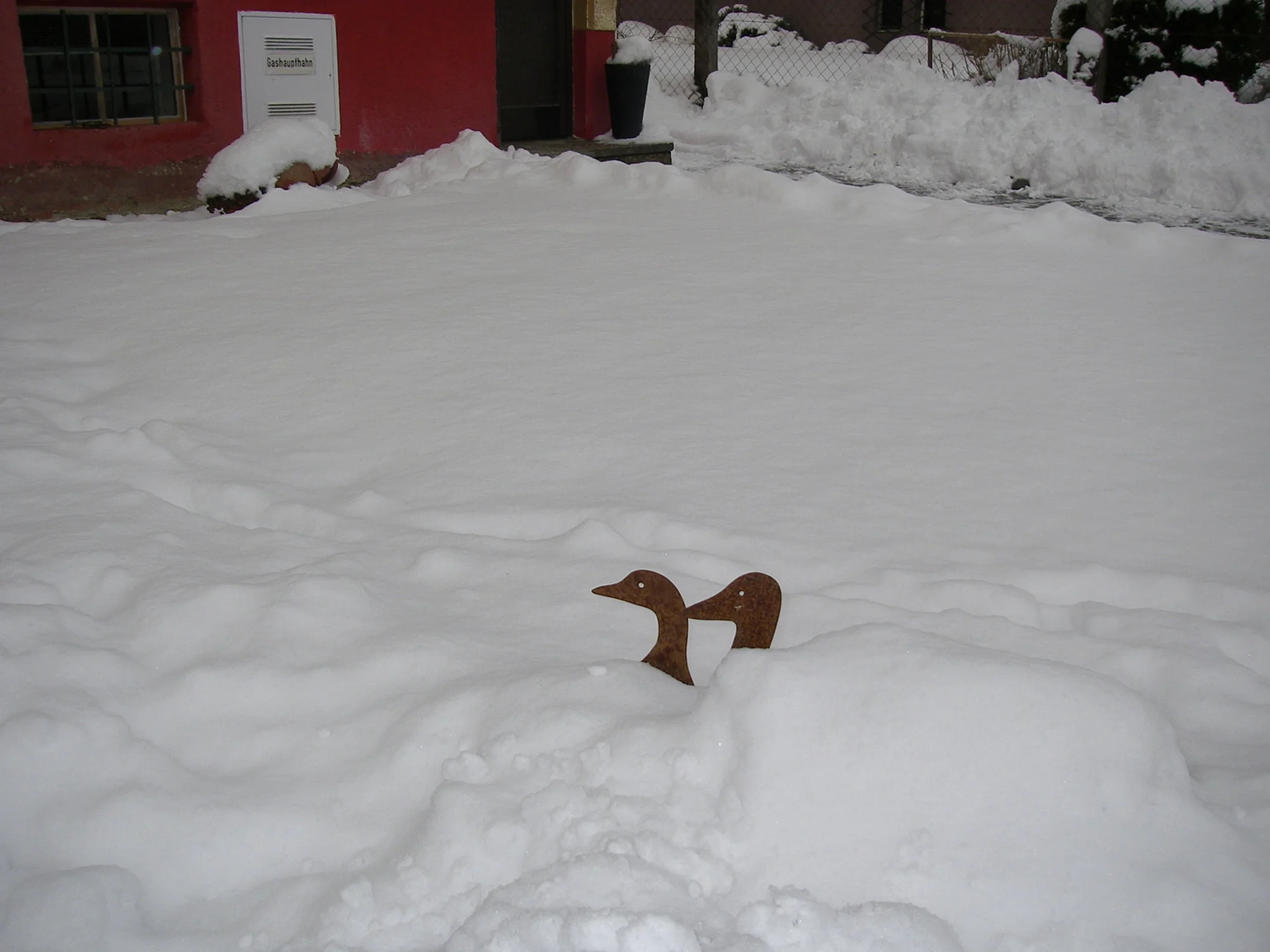 Schnee_063_01_2019 (2).webp