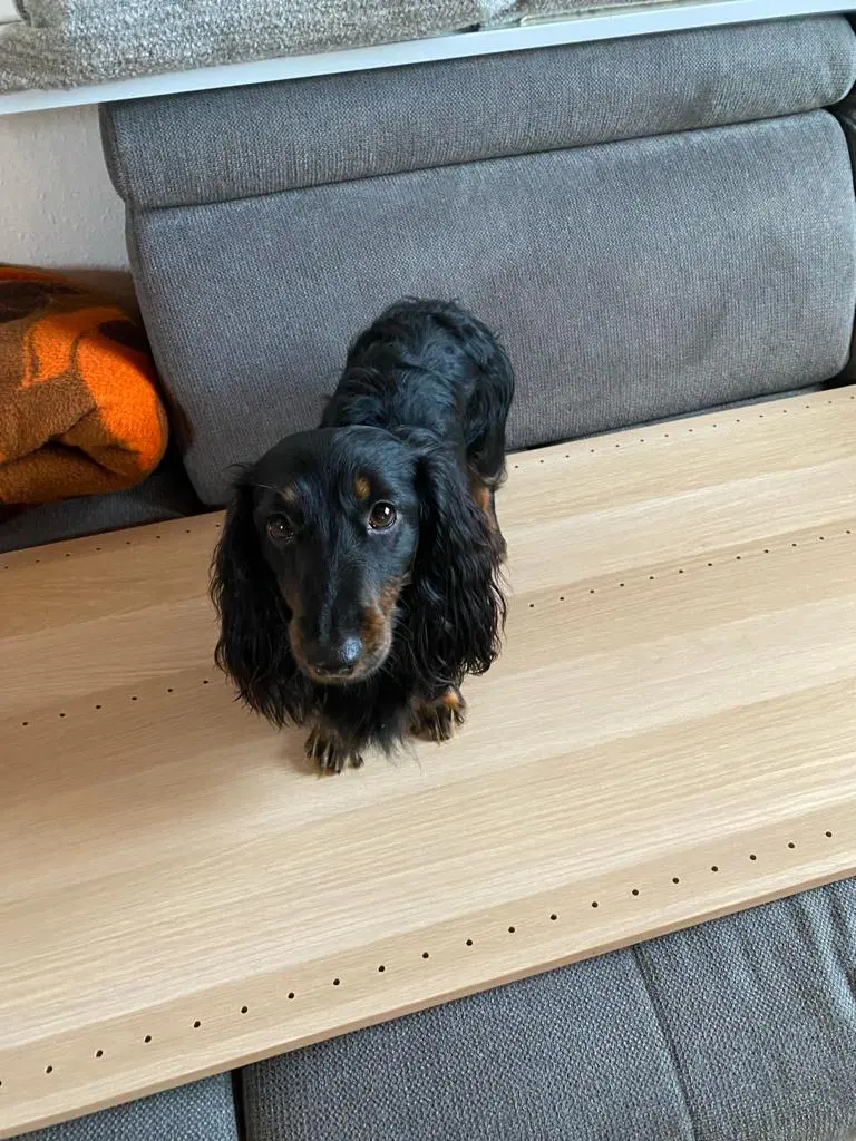 Schrank aufbauen.jpg