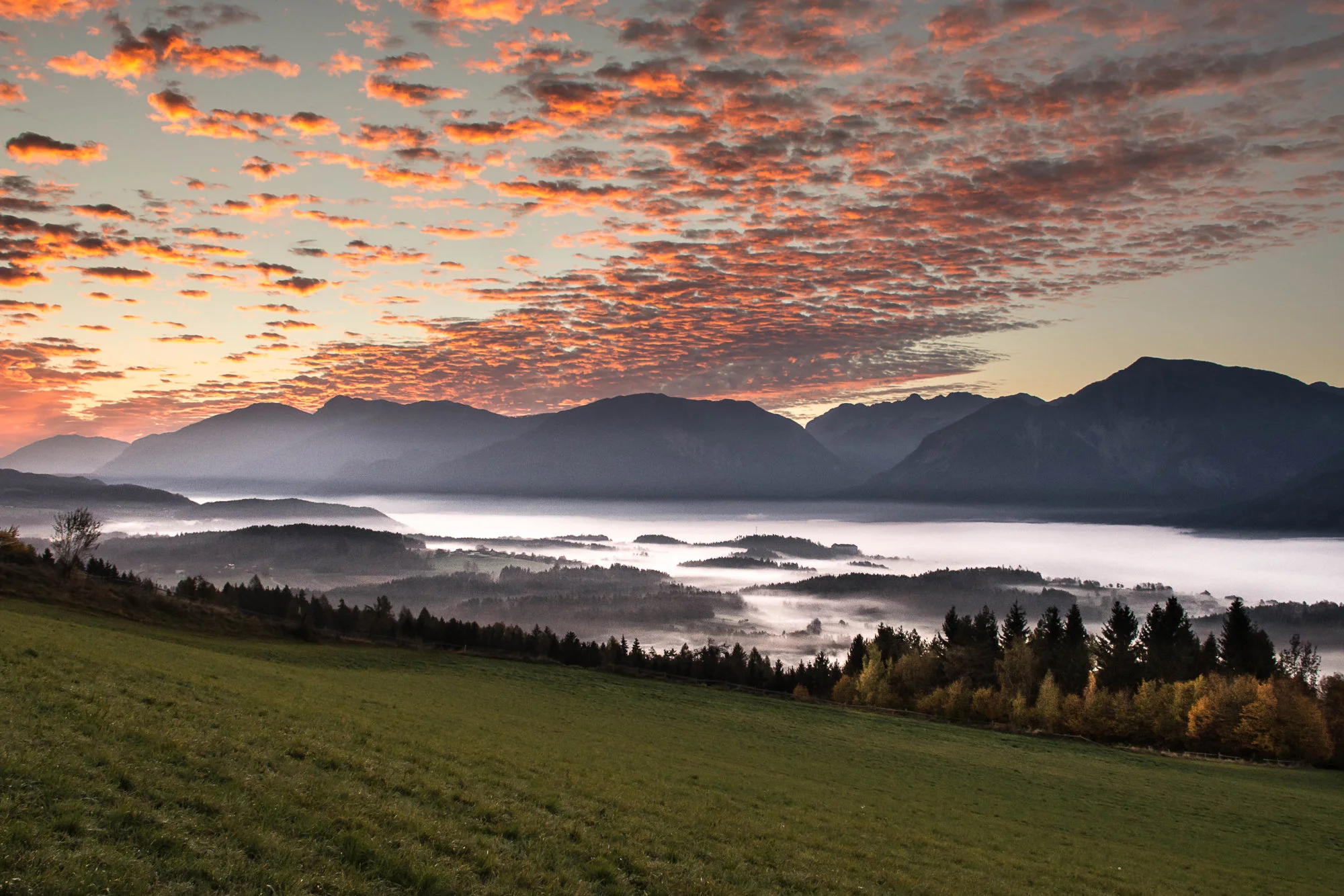 schwach1 (1 von 1).webp