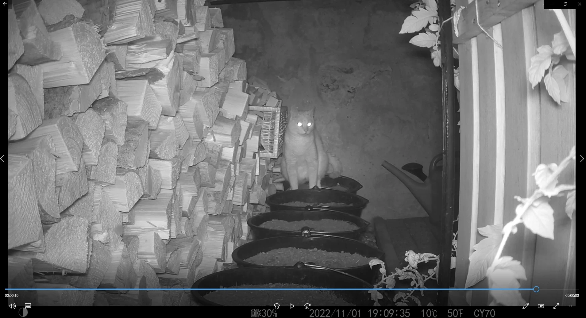 Screenshot 2022-11-26 214147.webp