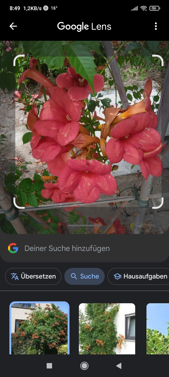 Screenshot_2024-05-25-08-49-22-468_com.google.android.googlequicksearchbox.webp