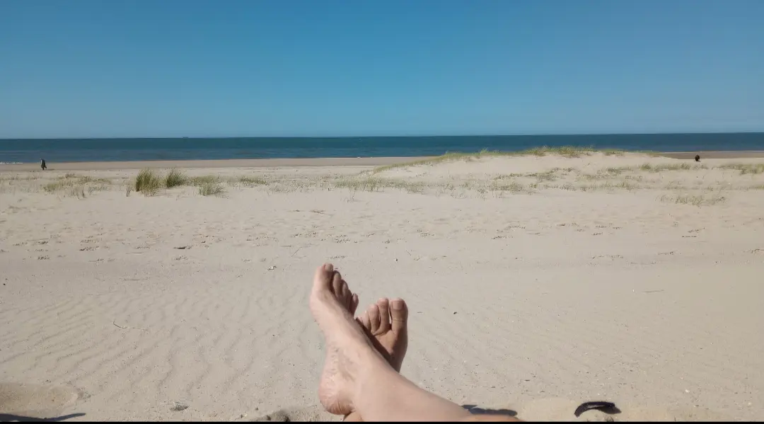 Screenshot_20240617-164405.webp