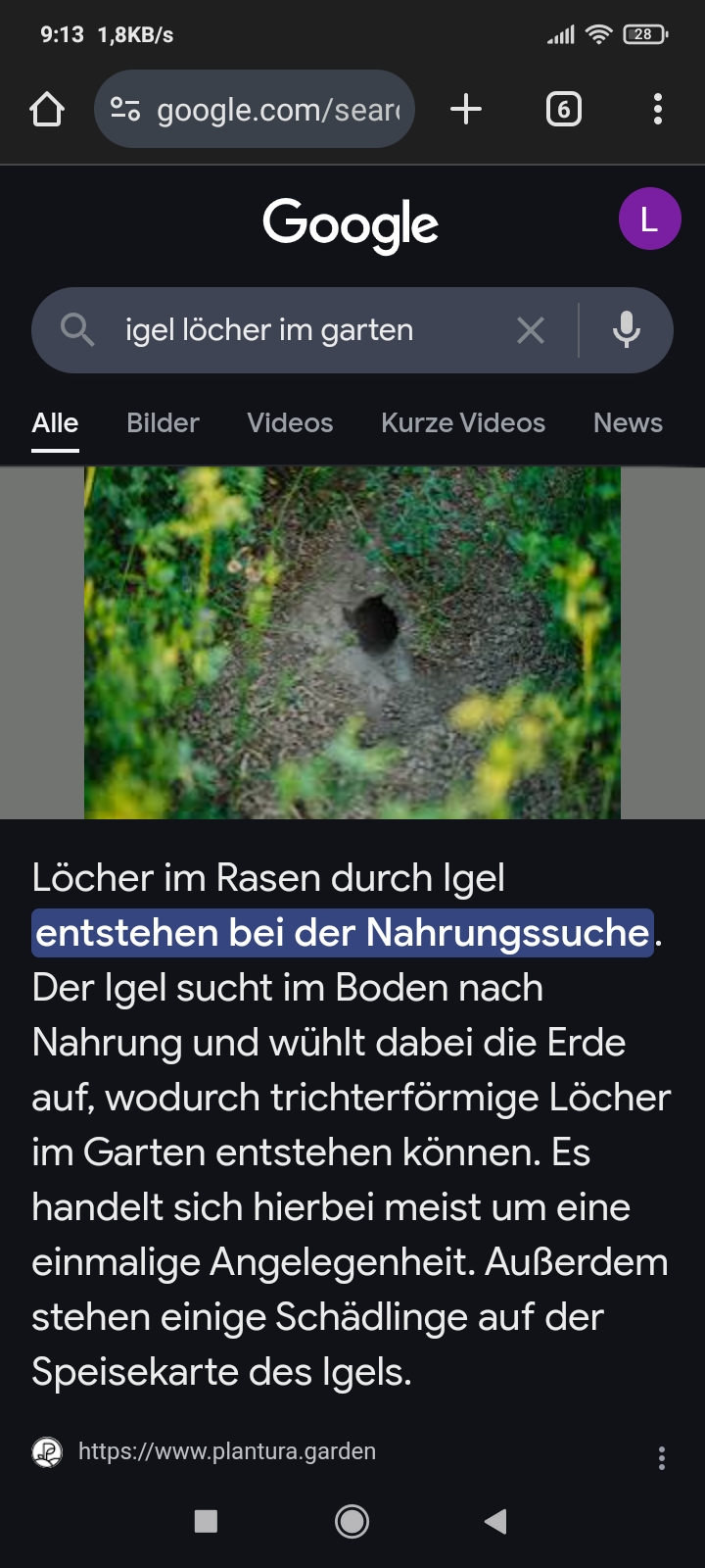 Screenshot_2025-03-15-09-13-58-640_com.android.chrome.webp