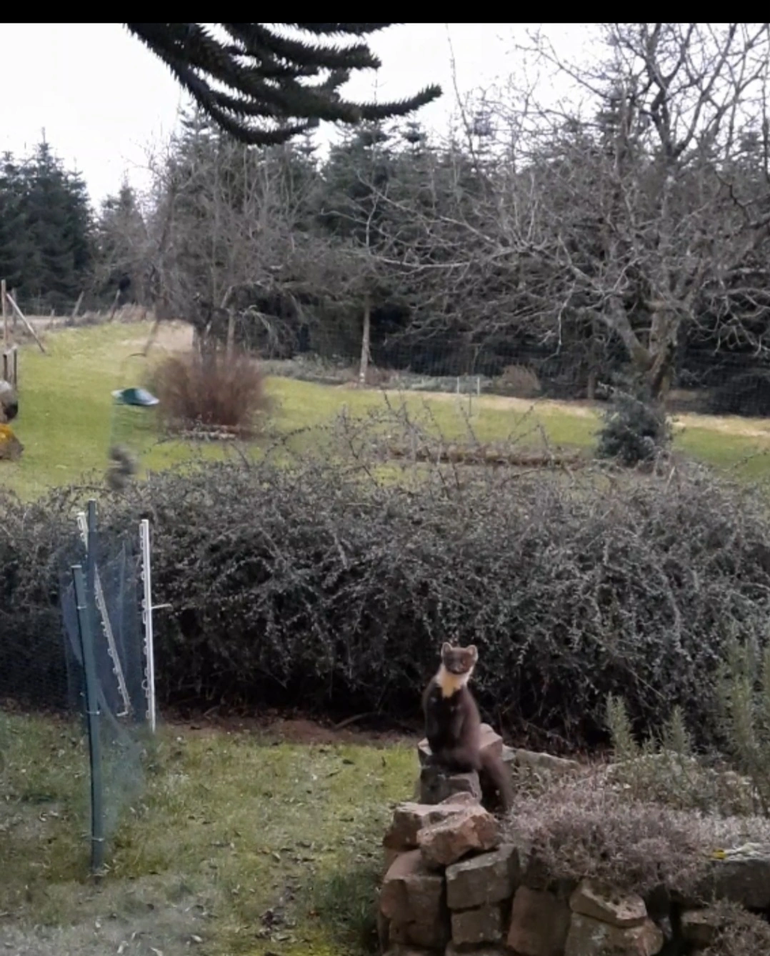 Screenshot_20250215_195722_Video Editor.webp