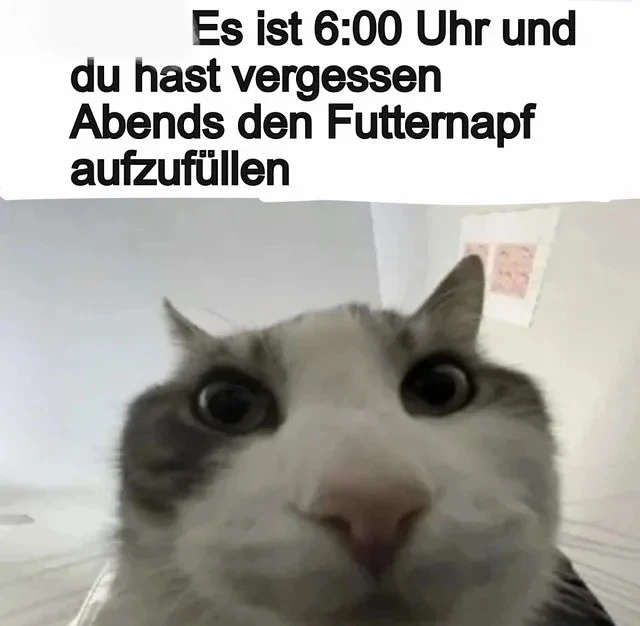 Sechs Uhr.webp