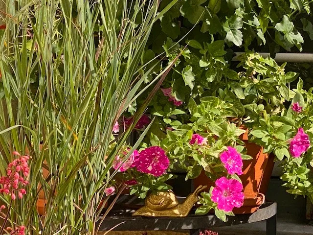 September.webp