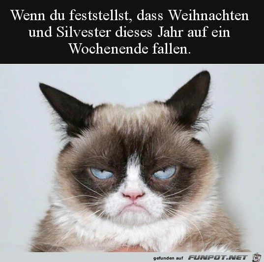So_ein_Aerger.webp