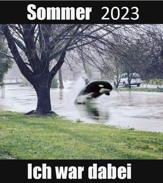 Sommer 23.jpg