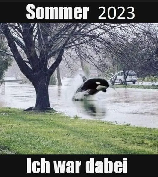Sommer 23.webp