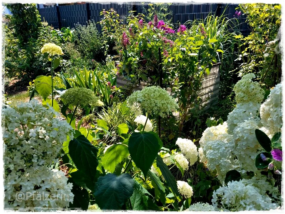Sommergarten 1.webp