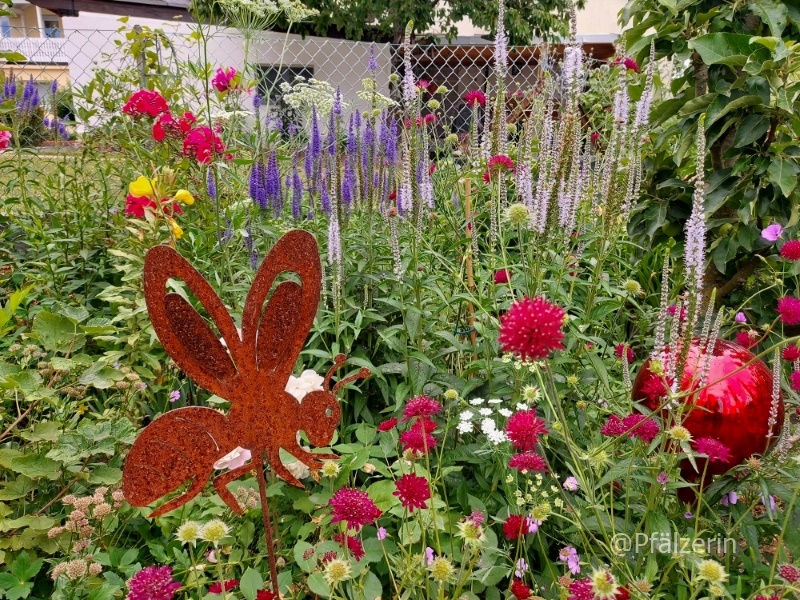 Sommerzeit im Garten Bienenpflanzen.jpg