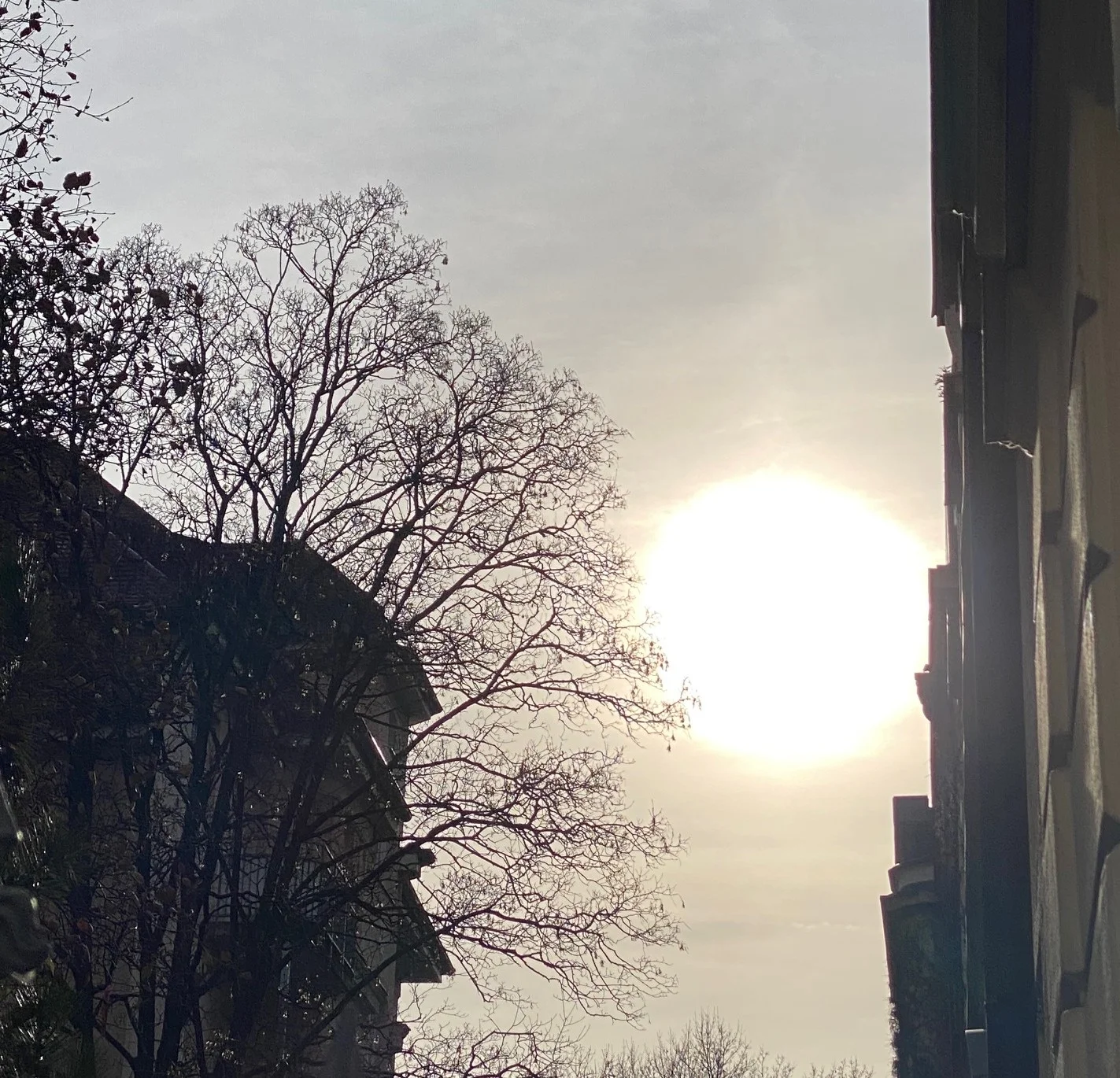 Sonne1.webp