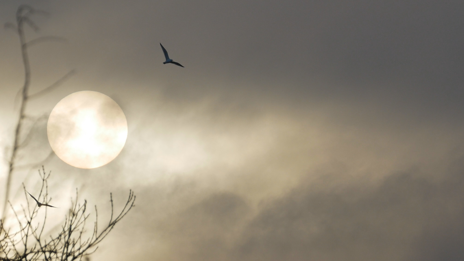 sonne_27.02.2021.webp