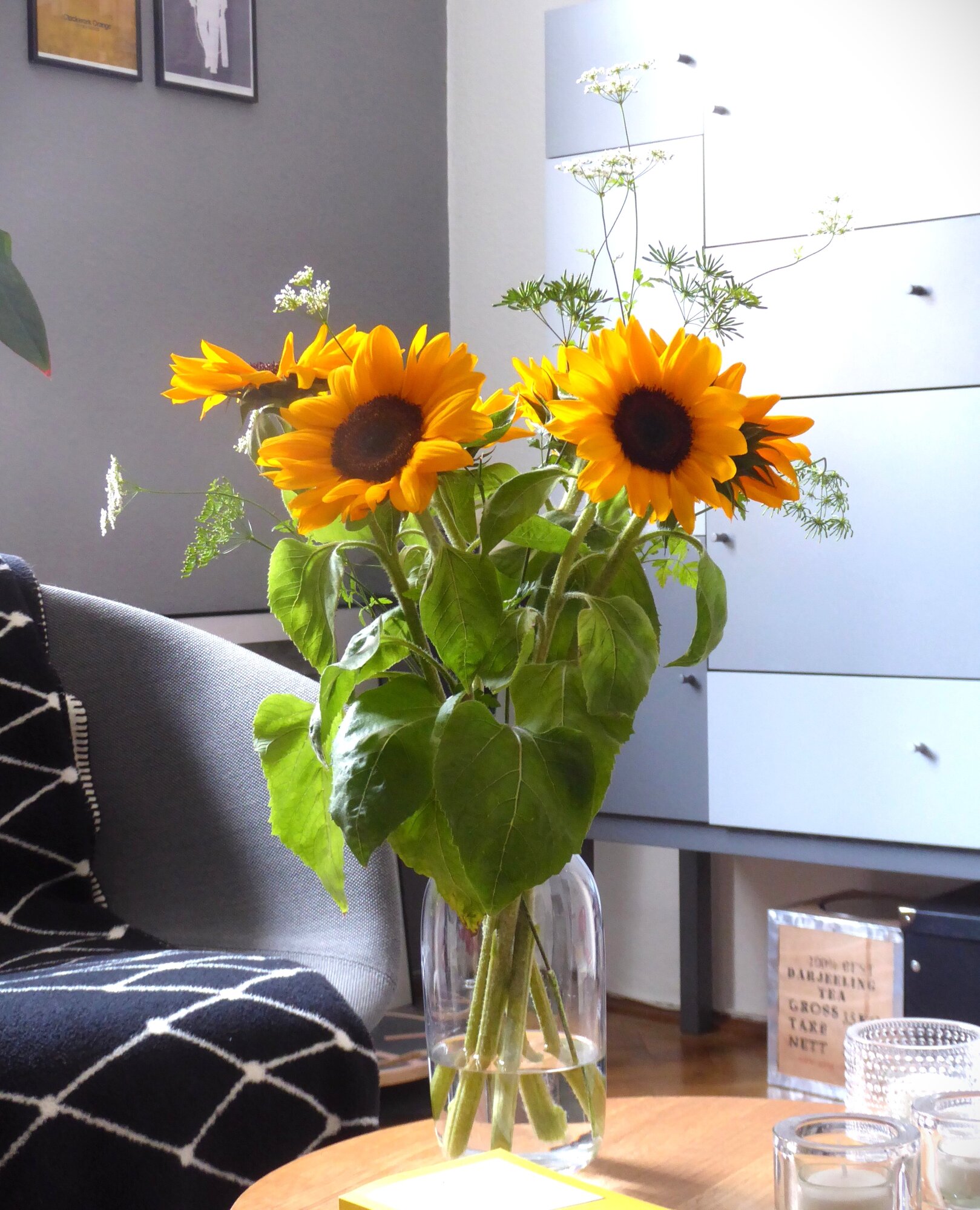 Sonnenblumen.JPG