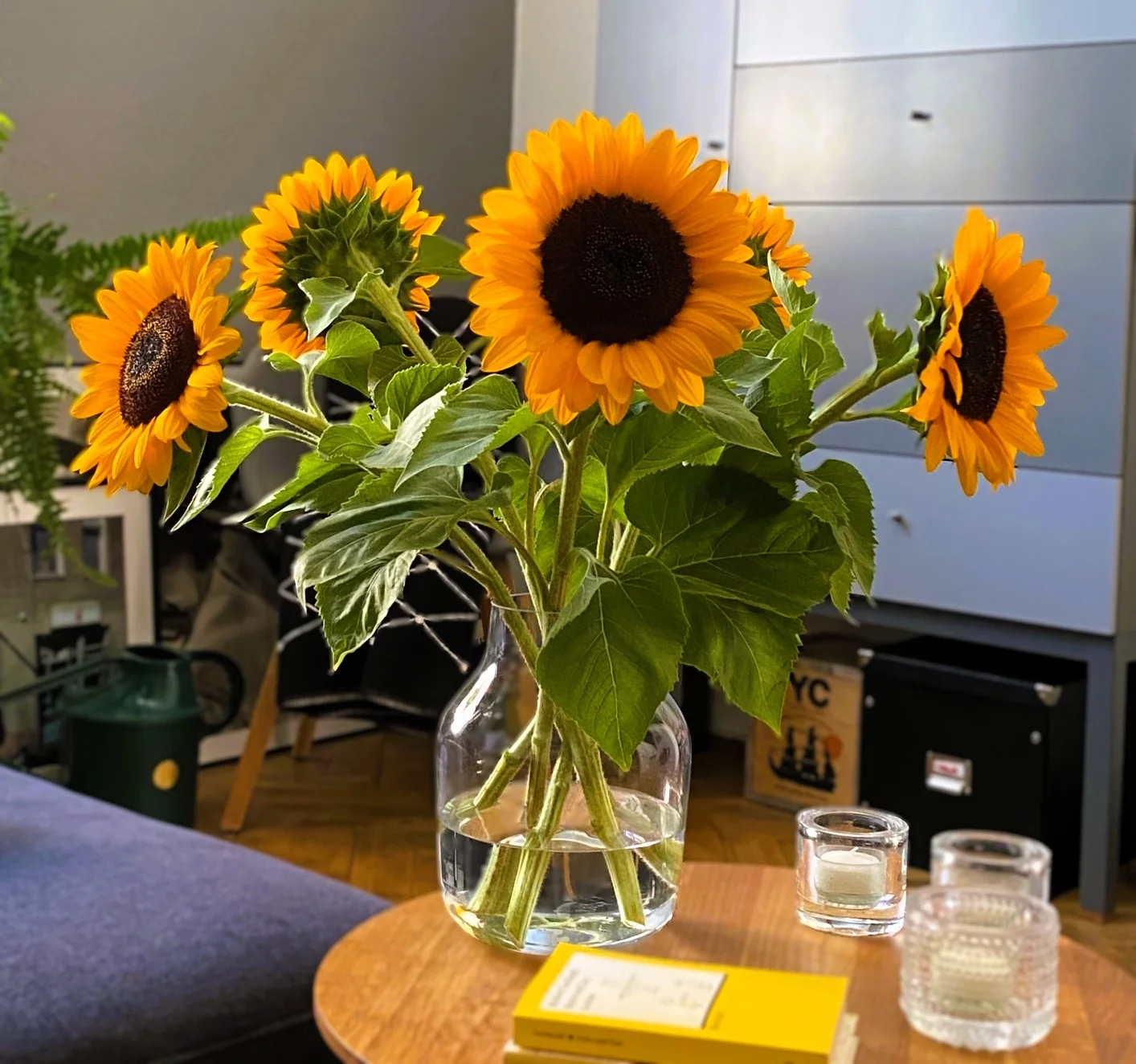 Sonnenblumen .webp