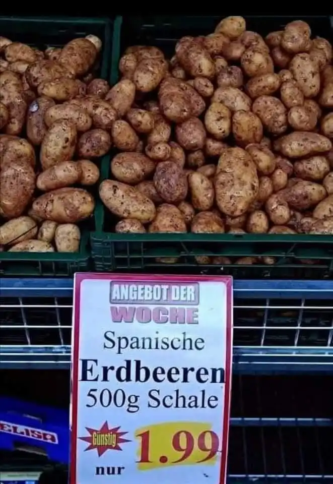 spanische Erdbeeren.webp