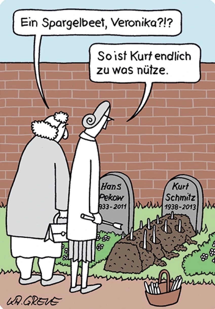 Spargelbeet_Witz.webp