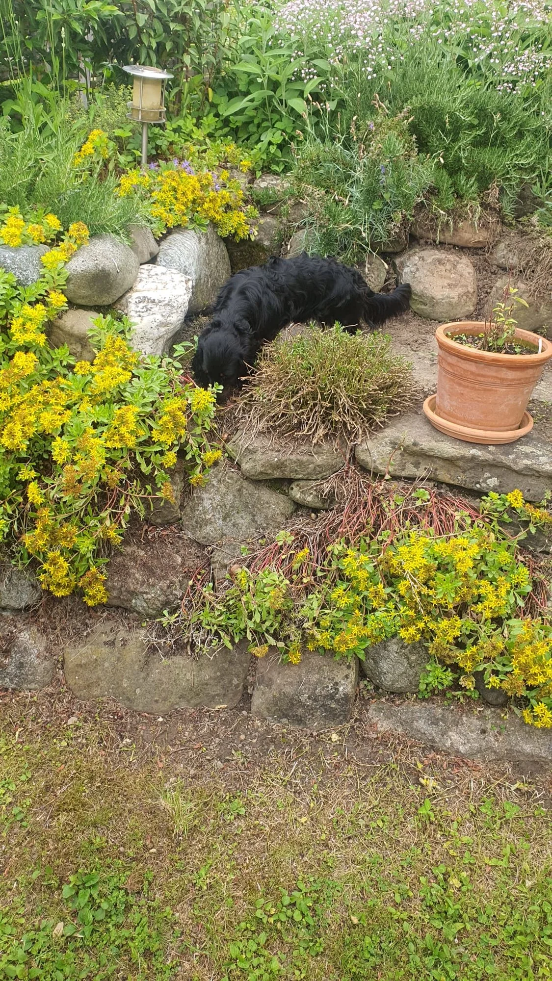Suchbild3.jpg