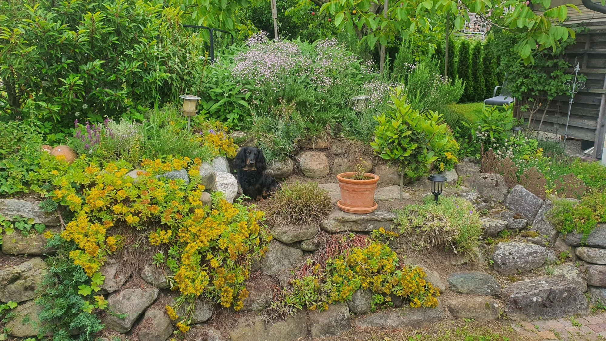 Suchbild4.jpg