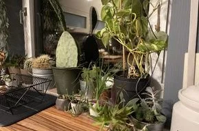 Südfenster.webp