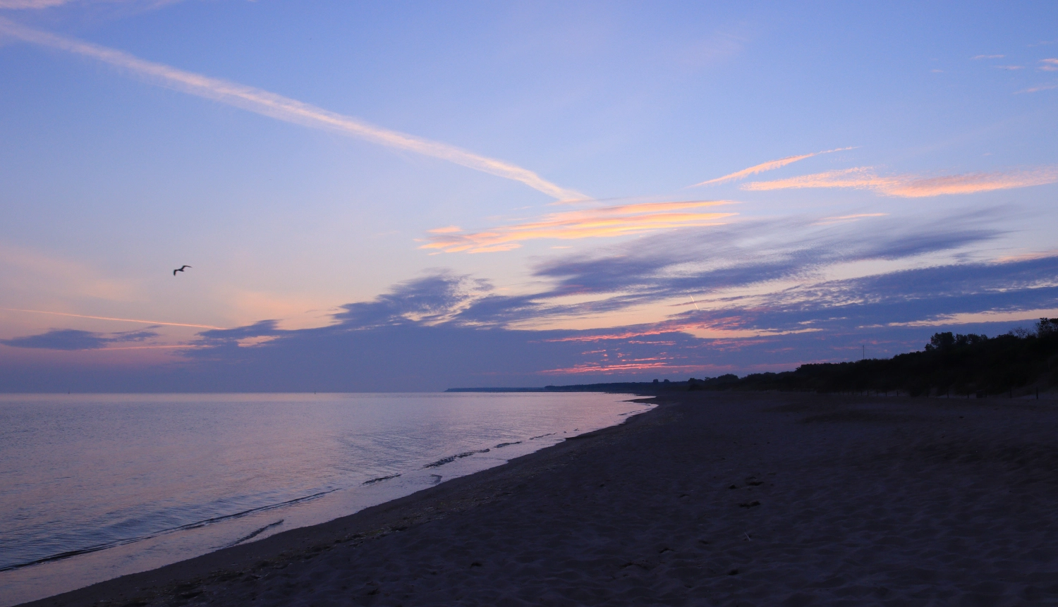 sunrise.1.webp