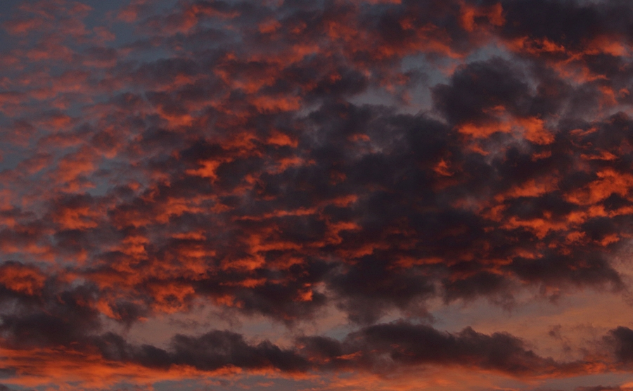 sunset1_900.webp