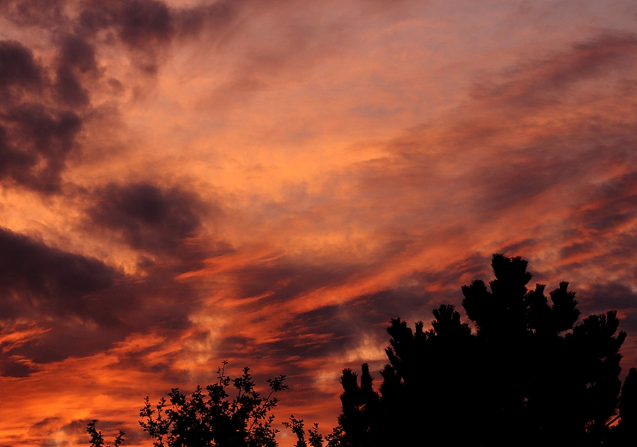 sunset2_900.webp