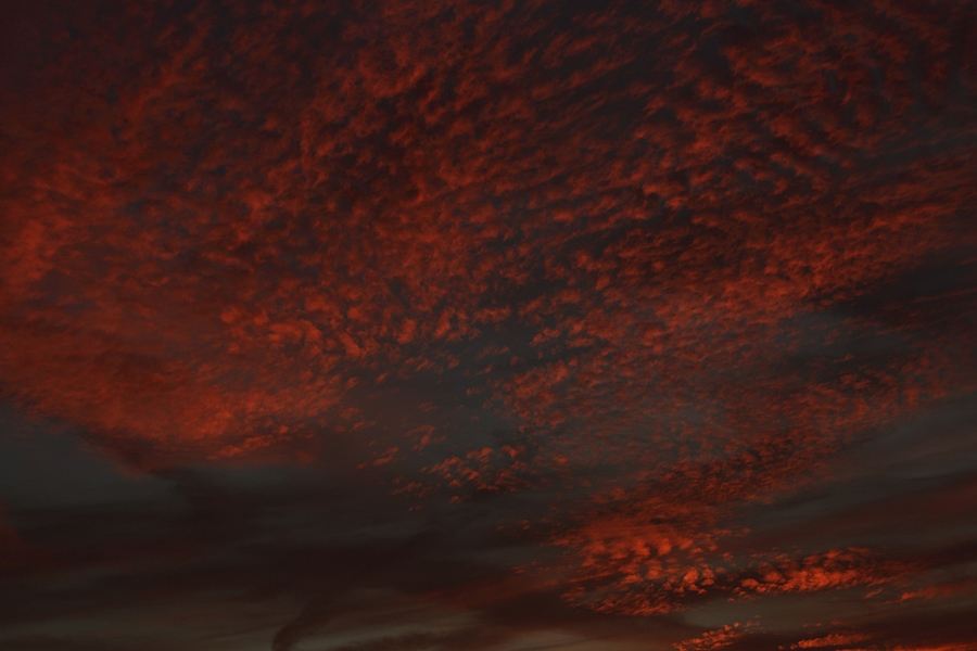 sunset5_900.webp