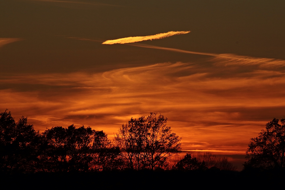 sunset_golden_red3_1000.webp
