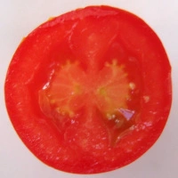 Sweet Aperitif - aufgeschnitte längs.jpg
