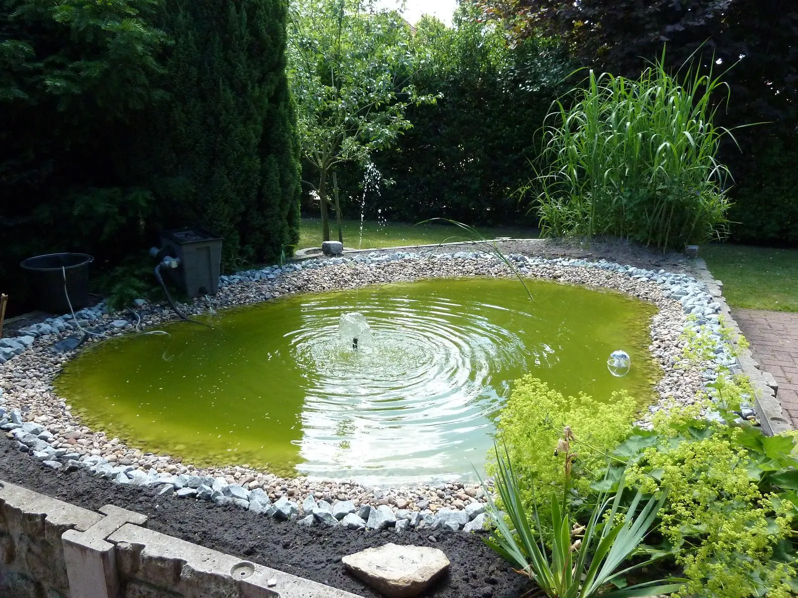 Was hilft gegen grünes Wasser, außer Kalk?