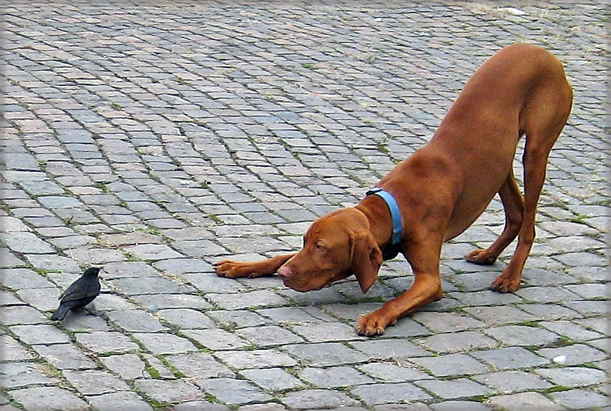 Titel-gesucht-a22980325-1.webp