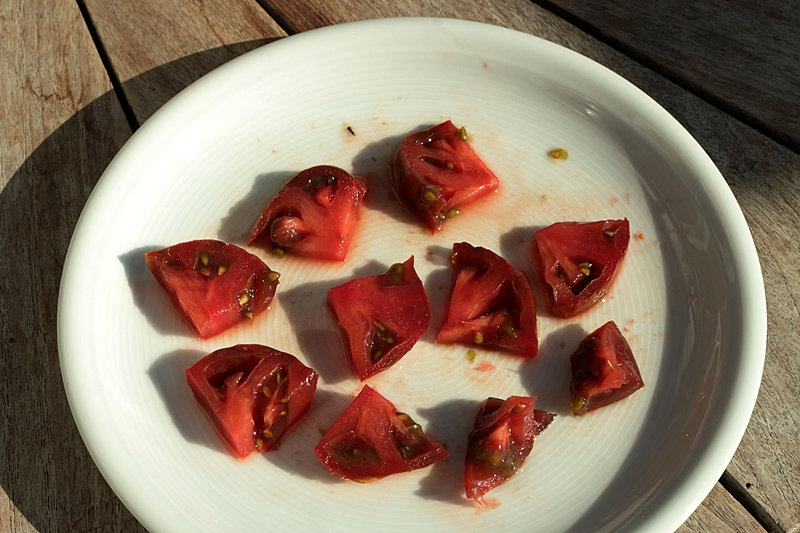 Tomate Marmande_dunkel gestreift_800.webp