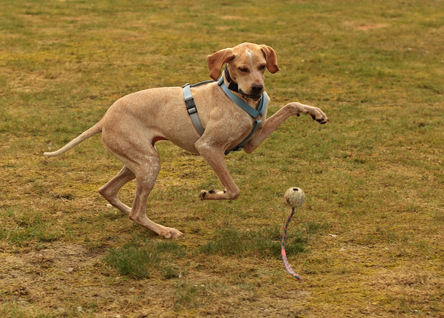 Tula having fun2_900.webp