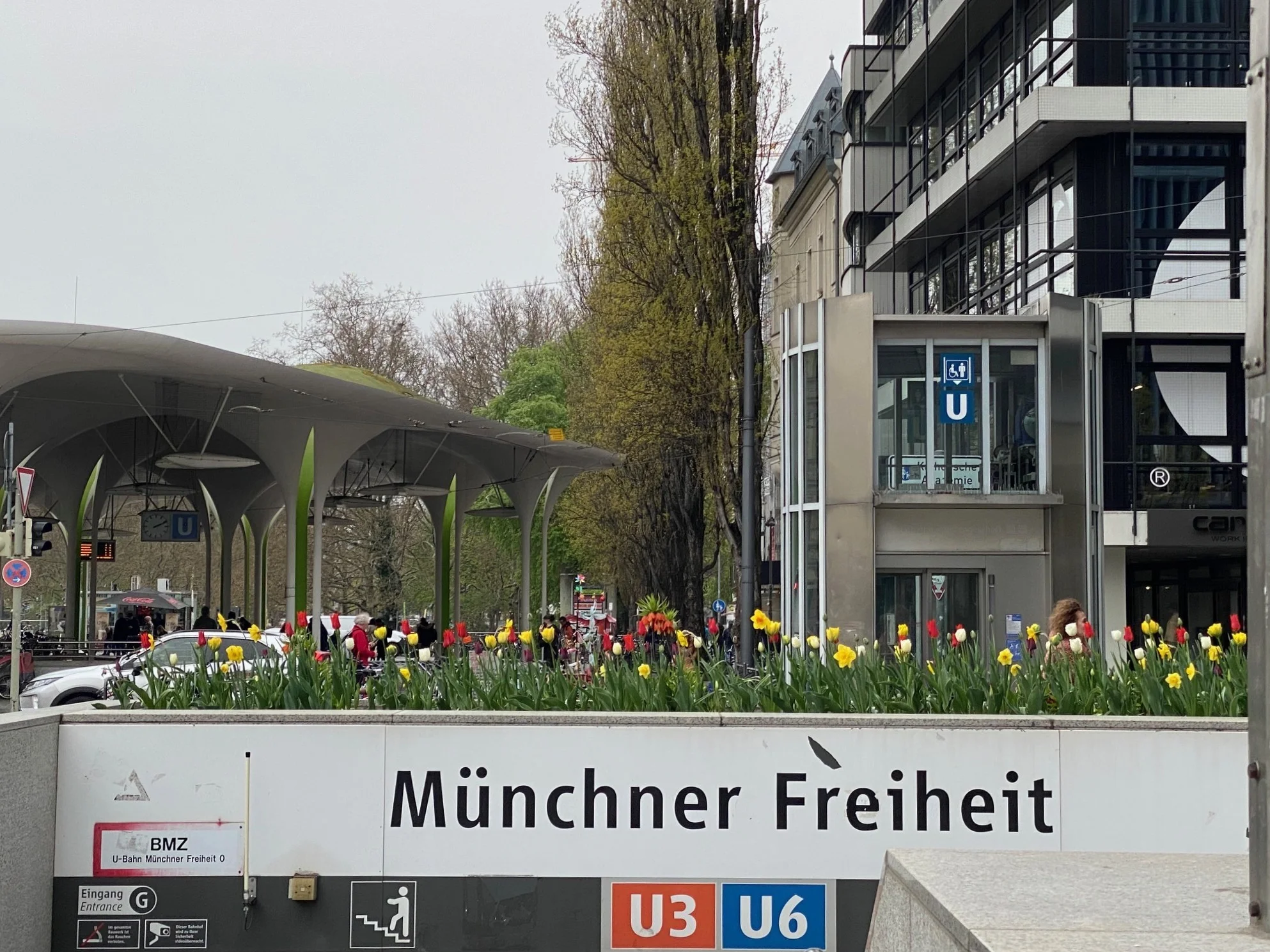 Tulpen Schwabing 3.webp